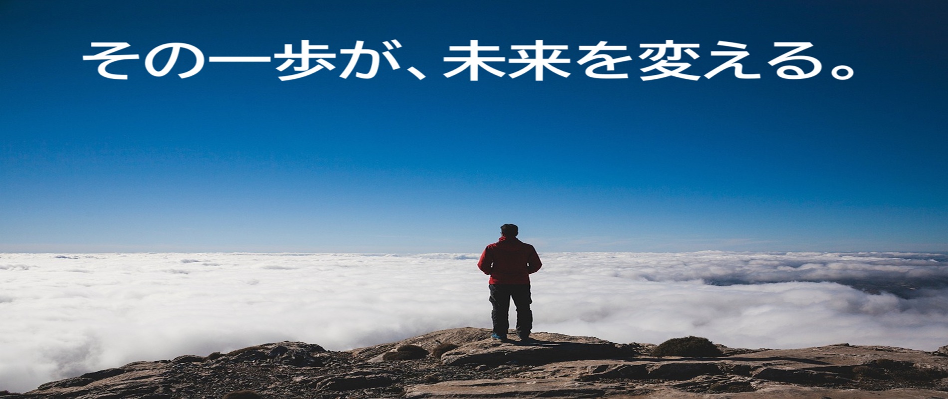 希望を感じさせる新緑と光の背景画像